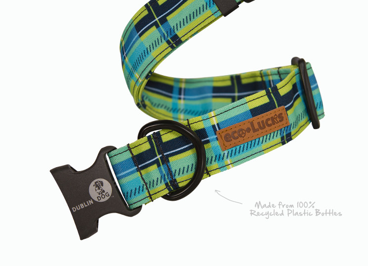 EcoLucks EcoLucks